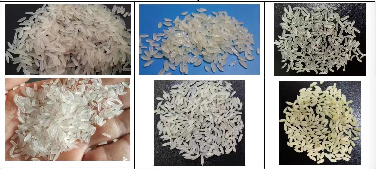 rice shapes